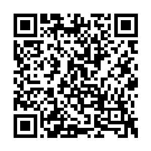 伸着脑袋看了一下贝海的脸上不由的挂起了笑意二维码生成