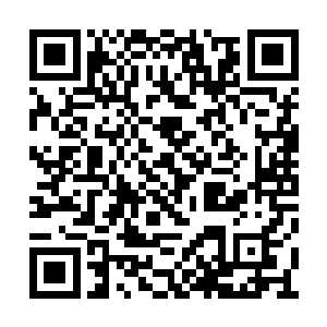 伸进狼兽蝠腹部的手在它的身体内一转就收回来二维码生成
