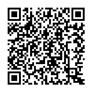 伺候我的嬷嬷都说我的字有长进呢……不知道表哥想不想要什么回礼二维码生成