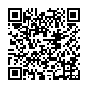 似乎一下子陷入到了一个令人颓丧的恶性循环之中二维码生成