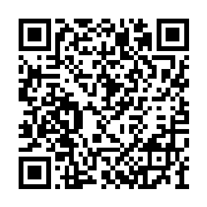 似乎一点儿都没有因为跟石越的分离而痛苦悲伤二维码生成