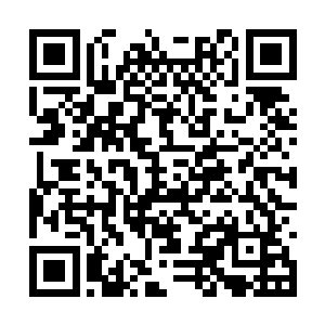 似乎一点都不在意这次的猎海大战将会遇到的凶险二维码生成