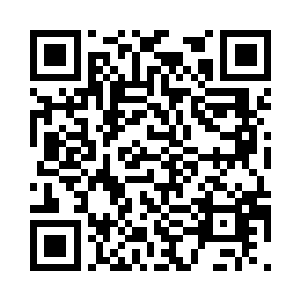 似乎一点都没有生死之战的意思……二维码生成