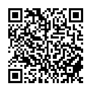 似乎一点都没有被最近围绕着她产生的那些争斗与角力所影响到二维码生成