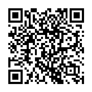 似乎不大明白今天这场合蒋导又拉来一个旁的人做什么二维码生成