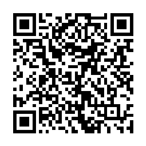 似乎不愿意让马文和露易丝在这个话题上继续纠缠二维码生成