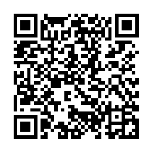 似乎不明白一个修神中期修士何以引起大家如此注意二维码生成