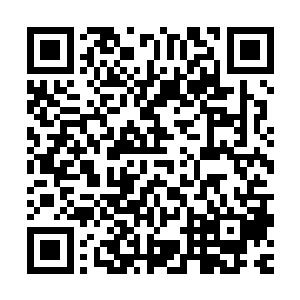 似乎不知不觉他就和妻子已经走过了二十多年相知相伴的日子了二维码生成