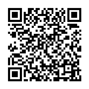 似乎与秦方他们修炼的正统秘籍有着极大的区别二维码生成