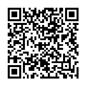 似乎丝毫不为如今的局势而感到任何的忐忑和紧张二维码生成