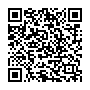 似乎两个人都看到了对方眼底深处的那一抹渴望二维码生成