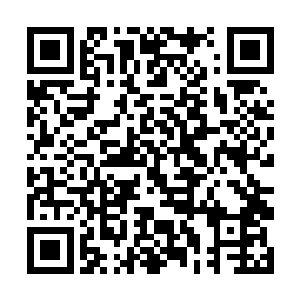 似乎也从未想到过九天神泉与小树的这个可能性……二维码生成