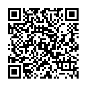 似乎也只有须弥宗的帝佛老祖才真正的祭炼成功了一件二维码生成