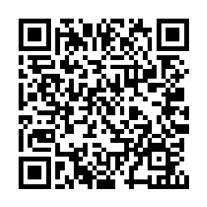 似乎也才发现居然有人敢站在太古道德碑的上面二维码生成
