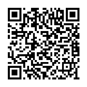 似乎也明白这个时候能来到这里的人不是普通人二维码生成