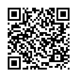 似乎从来没有在猎海城公开露过面二维码生成