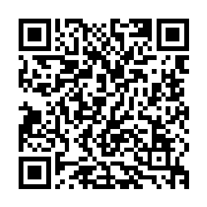 似乎从自己当初翻开那本铁血神拳的时候的那一刻就已经注定了二维码生成