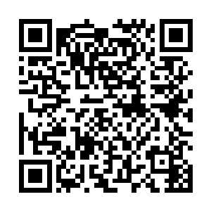 似乎他们更愿意用展示他们的雄性胸毛寻找异乡的慰藉二维码生成