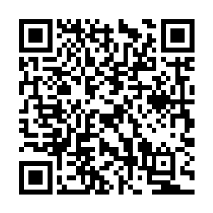 似乎他们这些在学校里混的挺不错的家伙都喜欢拽二维码生成