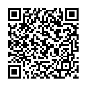 似乎他方才所言的的确确每个字都是再真不过的一般二维码生成