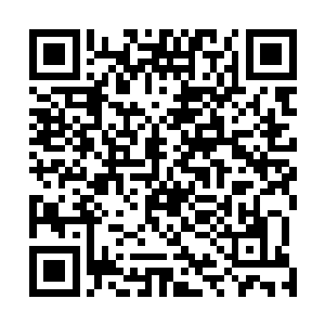 似乎他真的一点都不介意赵纯良就这样拒绝了他们的好意二维码生成