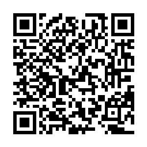 似乎他知道这洞窟里有着一只惊天地泣鬼神的恶魔一般二维码生成