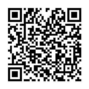 似乎以为雷林也是为了他们之间的强强联合而感到振奋二维码生成