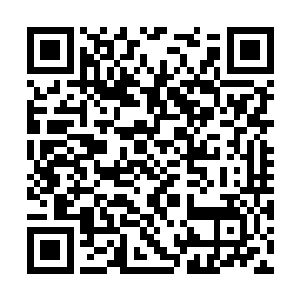 似乎伏羲只是随手创造了这样一个普普通通的世界二维码生成