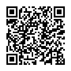 似乎几个大家族的大本营都是西西里市区外的私人领地二维码生成