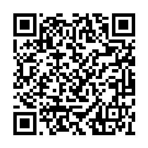 似乎只有当初樊翘楚闯第十一层的时候才出现过二维码生成