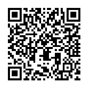 似乎只有结丹后期至化神初期的修士才能接近那祭台和通天神柱二维码生成
