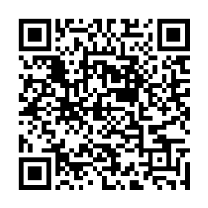 似乎只要身上有能量波动的人恐怕就没有办法离开二维码生成