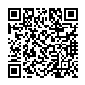 似乎司机也觉察到了坐在后座的两位老板有话要交流二维码生成