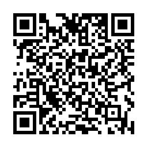 似乎周围遮天蔽日的树荫让这个潟湖边缘没那么炎热二维码生成