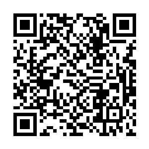 似乎唯有那禁制保护之下的药田没有什么事情发生二维码生成