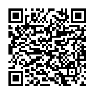 似乎回到了当日在青丘古坟地中的大商遗迹中一般二维码生成