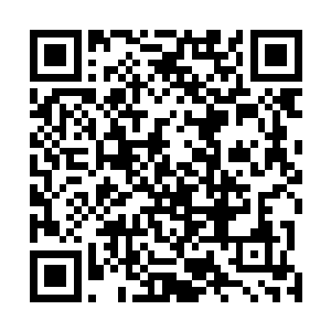 似乎因为居作人性情而改变的庞大居所让她心里划过野望二维码生成