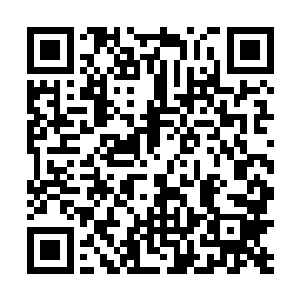 似乎在白语的记忆中并不存在这个流失到凡人界的族人二维码生成