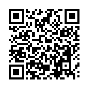 似乎在窥视着这方天地里来的不速之客二维码生成