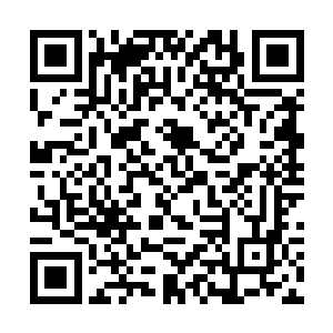 似乎在这个少年的背后还隐藏着许多许多的东西一般二维码生成