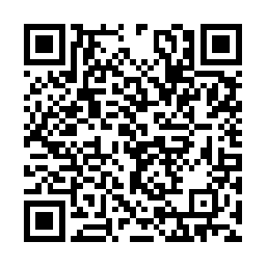 似乎完全就没有将他们手中的大砍刀放在眼里一般二维码生成