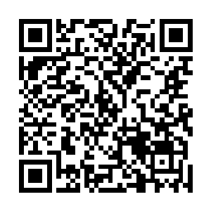 似乎完全忘记他面色铁青地当着人面把谢清溪拉走的模样二维码生成
