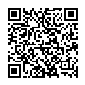 似乎对于影月基地突然多出了一名钻石级杀手还有些适应不过来二维码生成