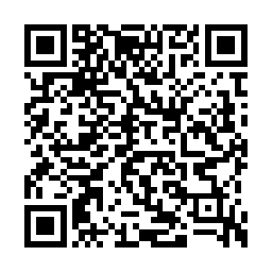 似乎对于这个赋予他神魔两种血脉的人感到好奇二维码生成