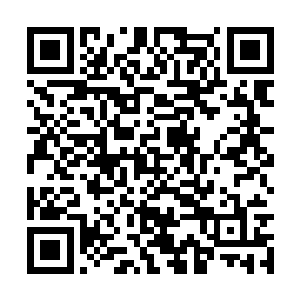 似乎对它来说这里出现宝石是再正常不过的事情了二维码生成