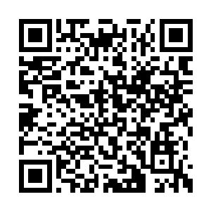 似乎对秦方所练的这种虎头冲相当的感兴趣似的二维码生成