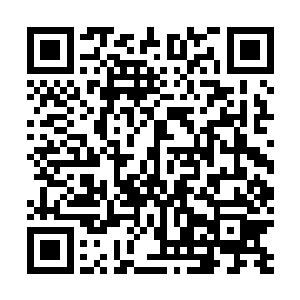 似乎小公主它们要去的地方是这两只属兔所不敢去的场所二维码生成