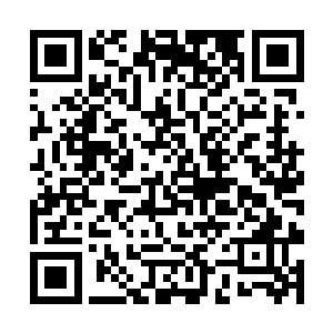 似乎就与利用生殖系统所产生的巨大的生命能量有关二维码生成