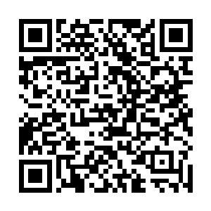 似乎已从微弱的端倪中看出了一些柳茹婉对张智的情愫二维码生成