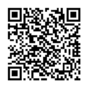 似乎已经看到了黄埔云将是第一个被淘汰的人一般二维码生成